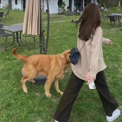 艾莎